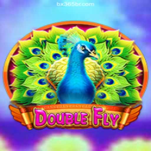 Exploring DoubleFly: A Riveting Game Experience