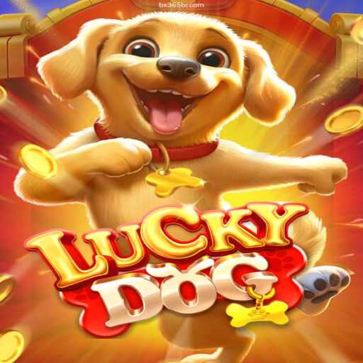 Discover LuckyDog: A Premier Online Casino Gaming Experience
